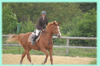 concours de saut d'obstacle